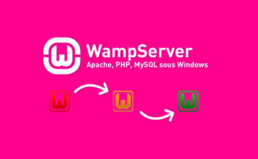 Wamp Server Kurulumu – Wamp Server Nedir?